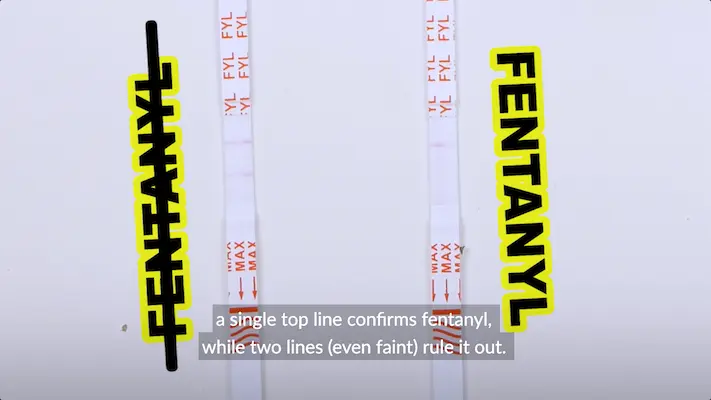 Fent test strips results