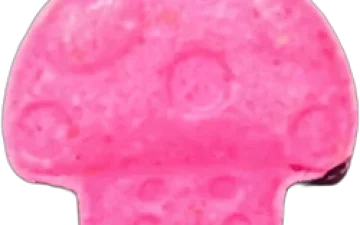 Mushroom-Tabletten