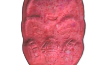Anonymous-Tabletten (Ecstasy / MDMA)