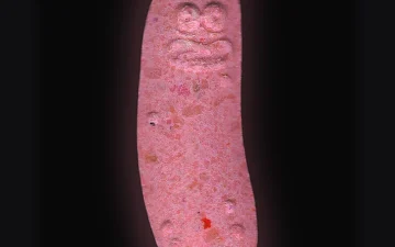 Pickle Rick-Tabletten (Ecstasy / MDMA)