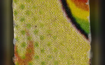 SpongeBob-Tabletten (Ecstasy / MDMA)