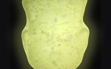 NL-Tabletten (Ecstasy / MDMA)