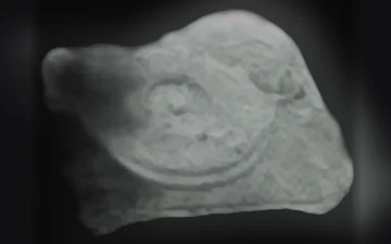 Tocadiscos-Tabletten (Ecstasy / MDMA)