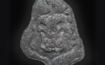 Leon-Tabletten (Ecstasy / MDMA)