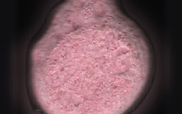 Burguer King-Tabletten (Ecstasy / MDMA)