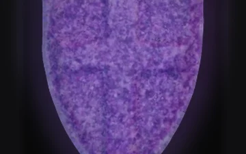 Wien Oida-Tabletten (Ecstasy / MDMA)