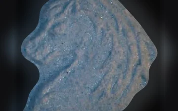 Pegasus-Tabletten (Ecstasy / MDMA)