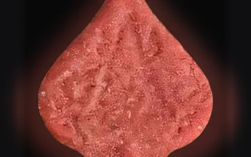 Pica-Tabletten (Ecstasy / MDMA)