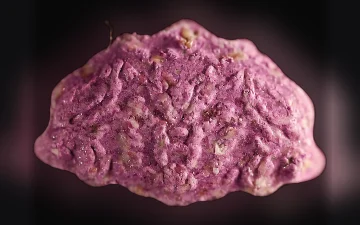 Skype-Tabletten (Ecstasy / MDMA)