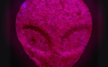 Alien-Tabletten