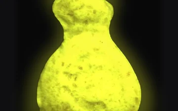 Dollar-Tabletten (Ecstasy / MDMA)
