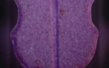 FC Barcelona-Tabletten (Ecstasy / MDMA)
