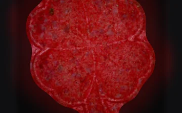 Four-Leaf Clover-Tabletten (Ecstasy / MDMA)