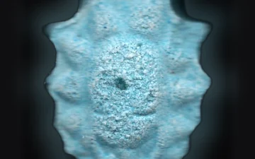 New Logo-Tabletten (Ecstasy / MDMA)