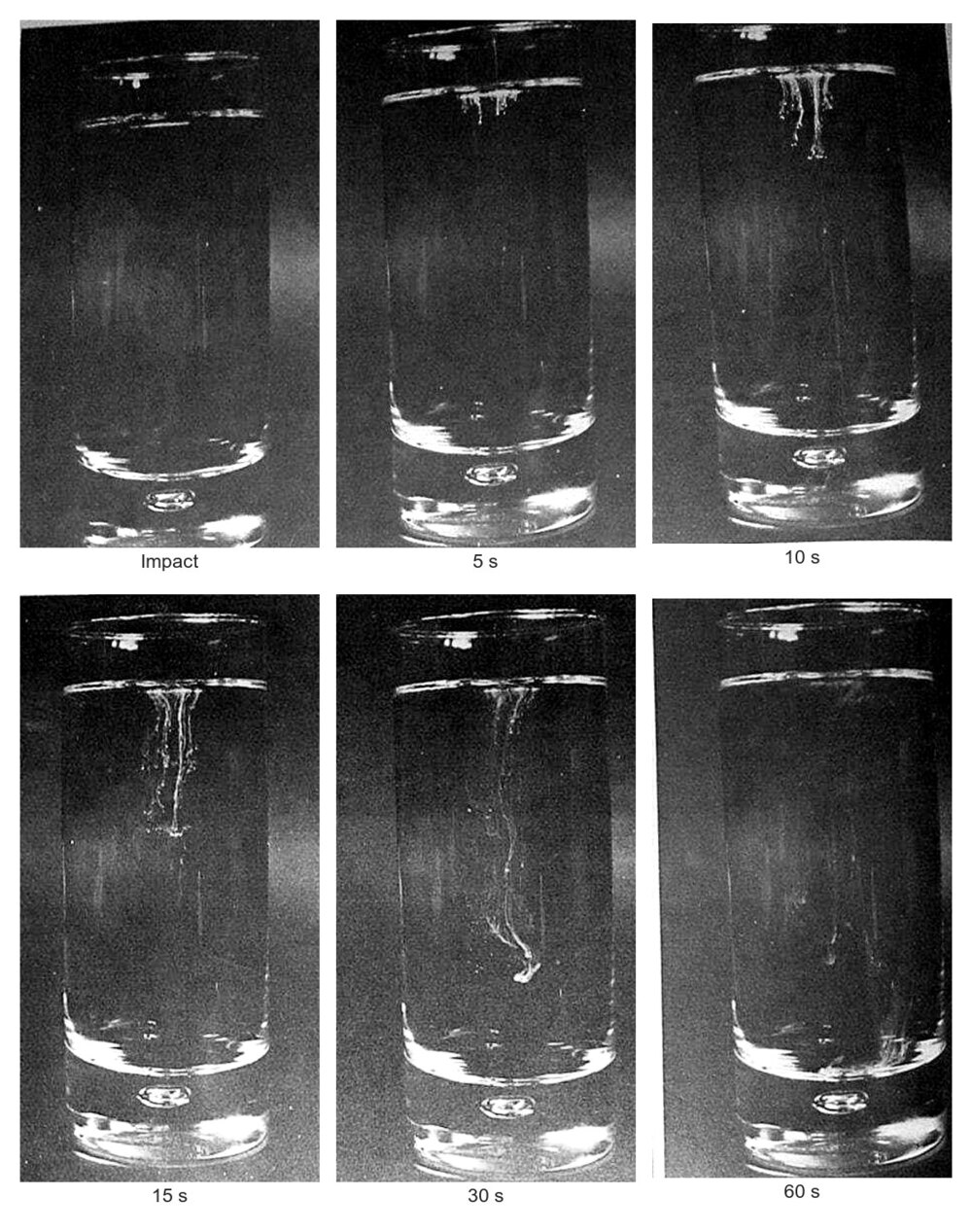 Ablauf des Bleichmitteltests