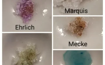 4-PrO-MET, 4-AcO-MET und 4-HO-MiPT: die neuen Tryptamine