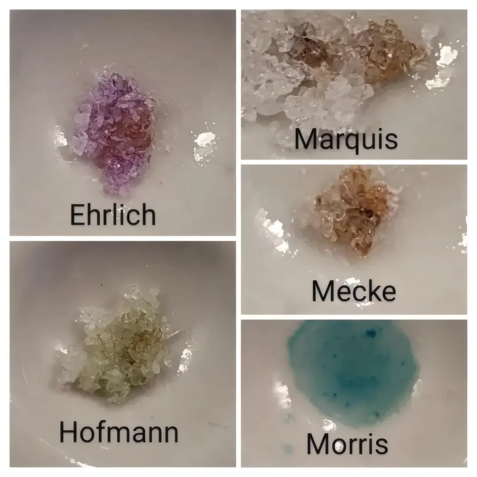 4-PrO-MET, 4-AcO-MET und 4-HO-MiPT: die neuen Tryptamine