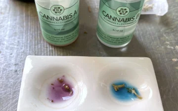 Anleitung für den Cannabis-Reagenztest