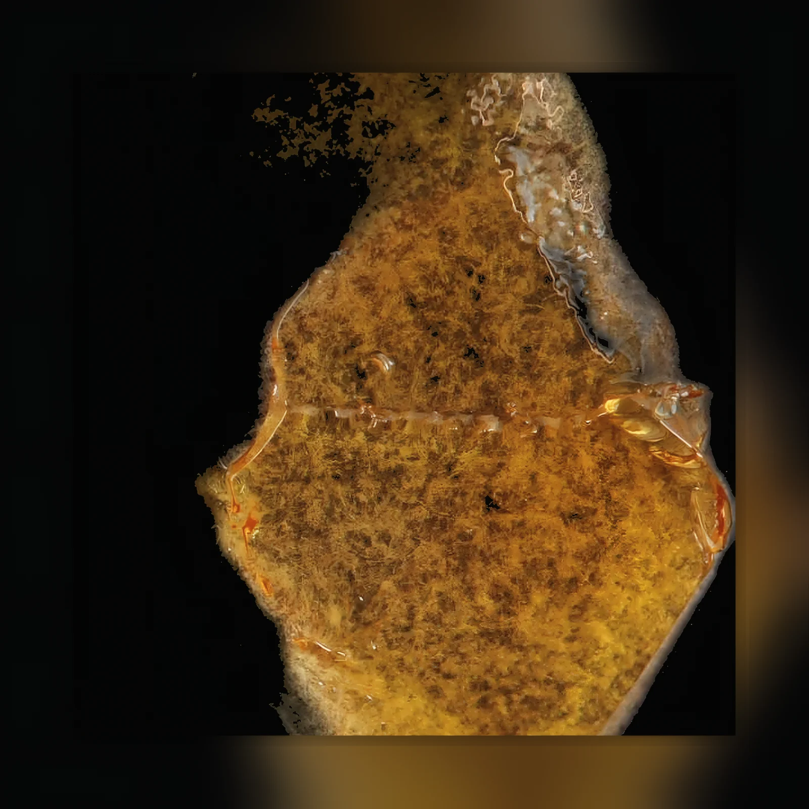 Delta-8-Cannabisöl