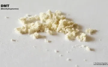 DMT-Pulver