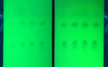 TLC-Testkarten unter UV-Licht