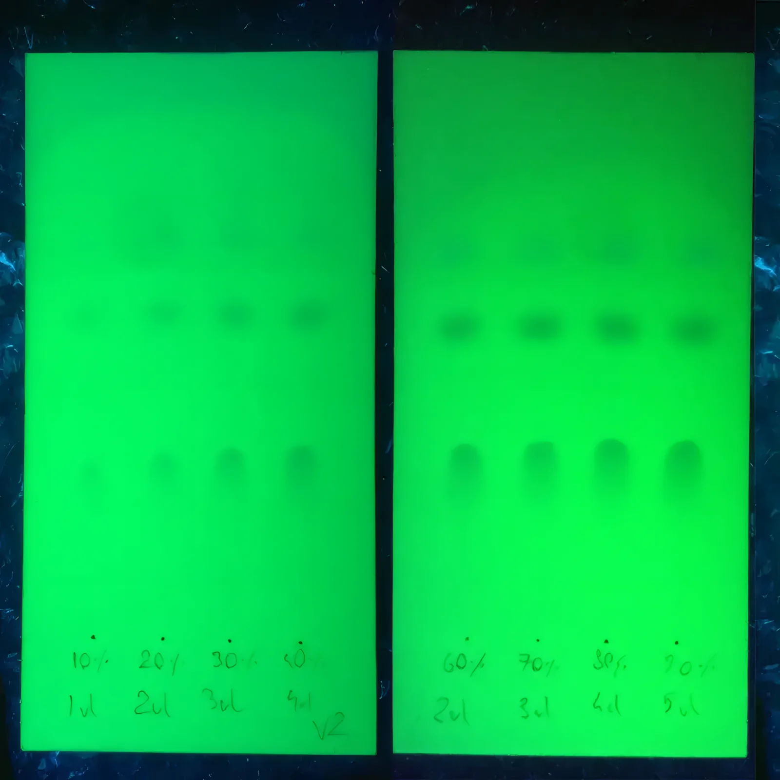 TLC-Testkarten unter UV-Licht