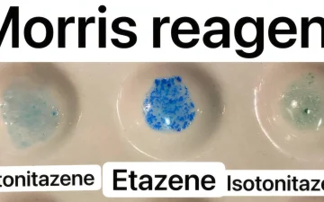 Wie erkennt man Nitazene?