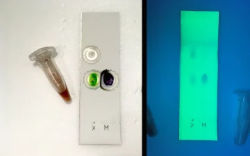 TLC-Testkarte mit Probe neben der Referenz
