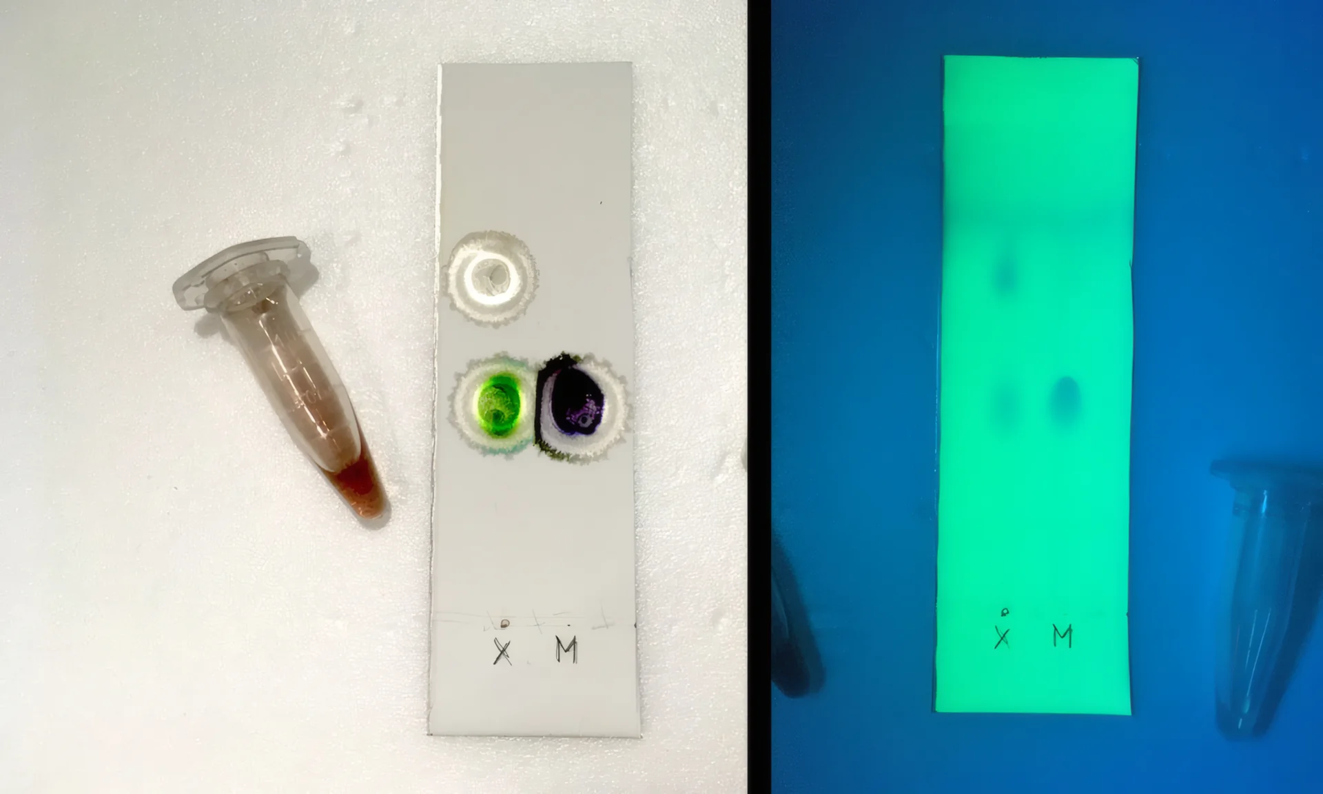 TLC-Testkarte mit Probe neben der Referenz