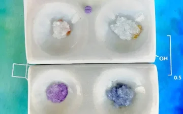 Wie testet man LSD-Derivate?