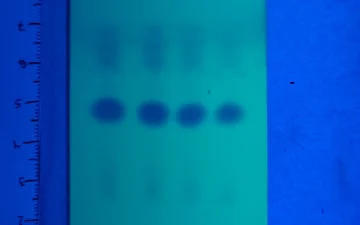 Reinheitstestkits für Amphetamin, MMC und CMC
