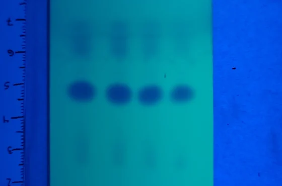 Reinheitstestkits für Amphetamin, MMC und CMC
