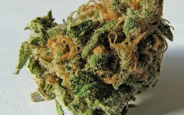 Was ist THC?