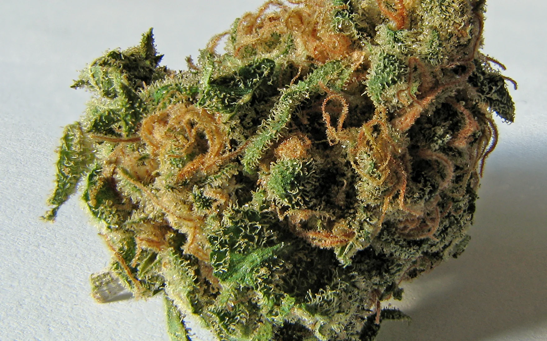 Was ist THC?