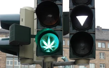 Was steckt in Cannabis- und CBD-Produkten?