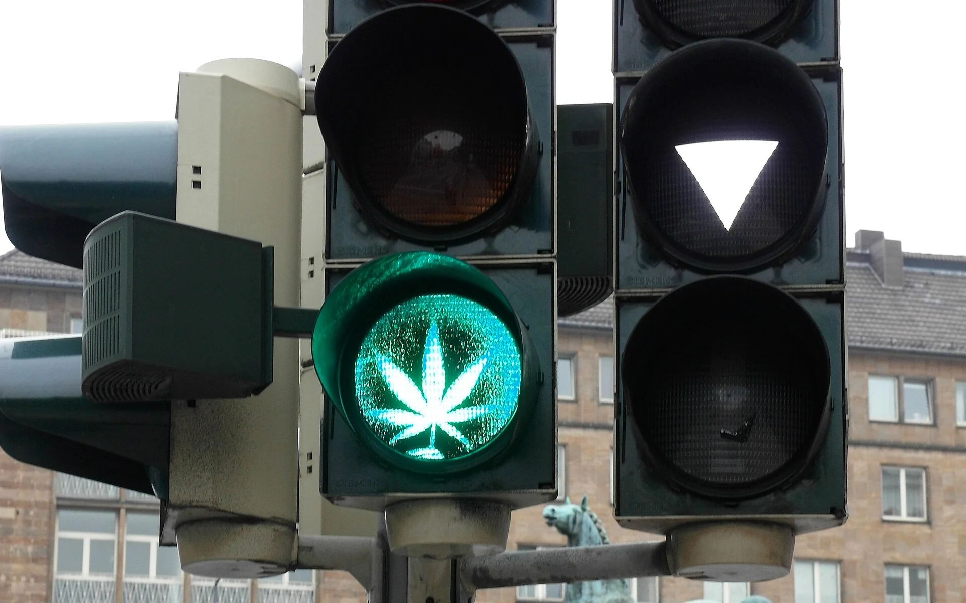 Was steckt in Cannabis- und CBD-Produkten?