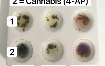 Welche synthetischen Cannabinoide sind auf dem Markt?