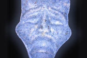 Trauriges Gesicht-Tabletten (Ecstasy / MDMA)