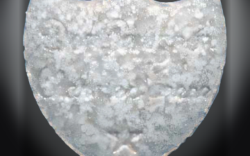 Botella De Champagne-Tabletten (Ecstasy / MDMA)