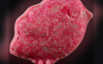 Bird-Tabletten (Ecstasy / MDMA)