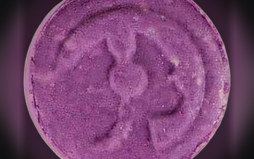 Piaggio-Tabletten (Ecstasy / MDMA)