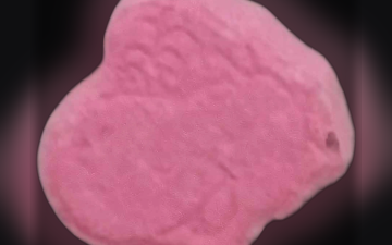 Yoshi-Tabletten (Ecstasy / MDMA)
