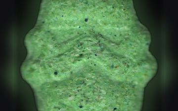 Stormtrooper-Tabletten (Ecstasy / MDMA)