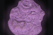 Acab-Tabletten (Ecstasy / MDMA)