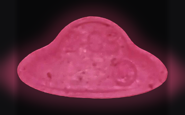UFO-Tabletten (2C-B)