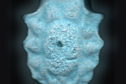 Rick-Tabletten