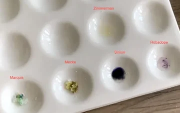 Ecstacy