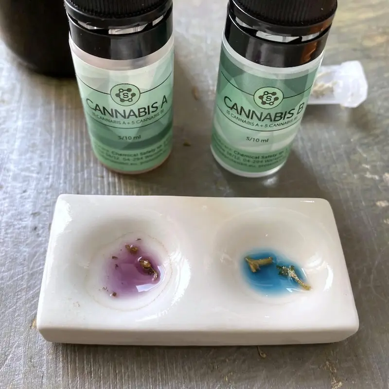 Zwei Cannabis-Reagenzflaschen mit A und B beschriftet, daneben eine weiße Porzellanplatte mit zwei Mulden: die linke violett mit Pflanzenteilen darin, die rechte leuchtend blau