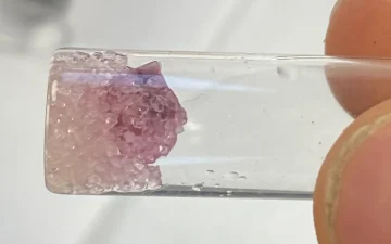 LSD